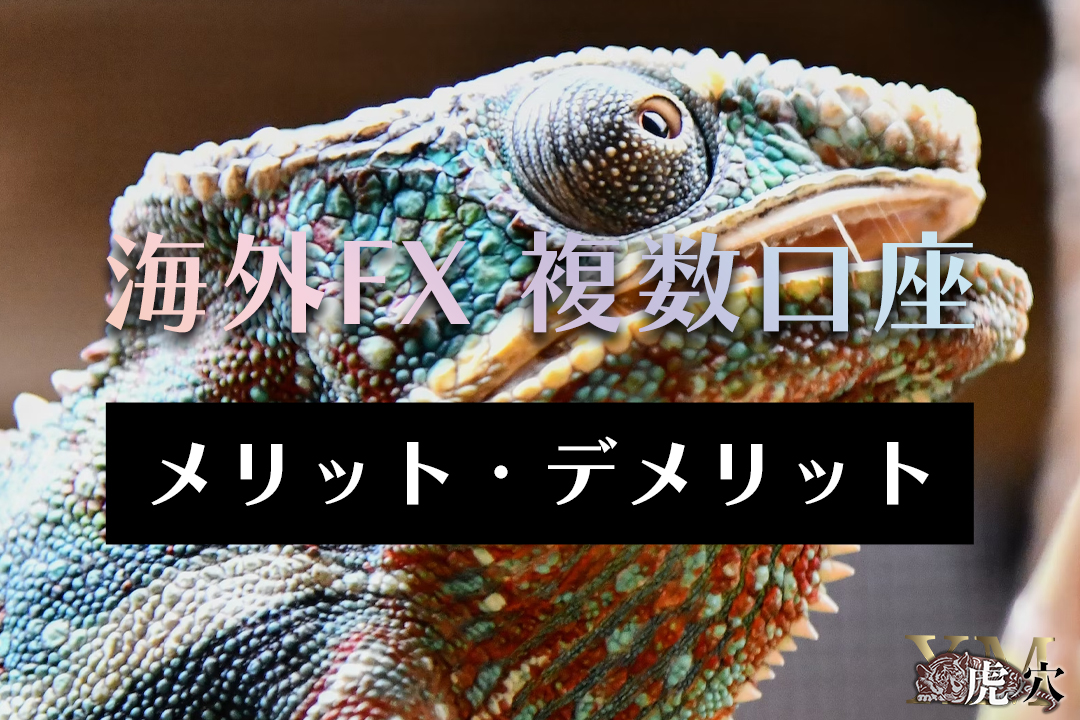 複数口座を開設して海外FXで取引を行うメリット・デメリット