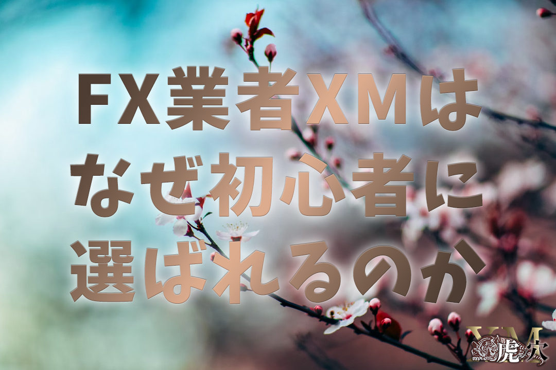 XMはFX初心者にもおすすめって本当？おすすめの理由やおすすめサービスについて解説！